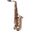 LV-AS4105 Eb Alto Sax,High F#+Soft Case
