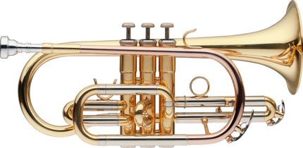 LV-CR5205 Bb Cornet,Leadpipe Goldbrass.