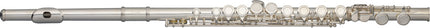 WS-FL111 C Flute Basic,Closed,Offset