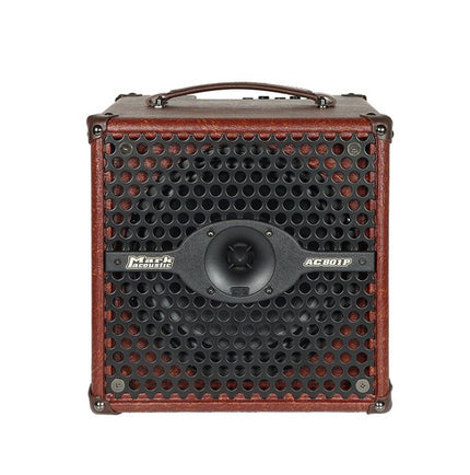 DV Mark AC 801 P Acoustic Amp 1x8