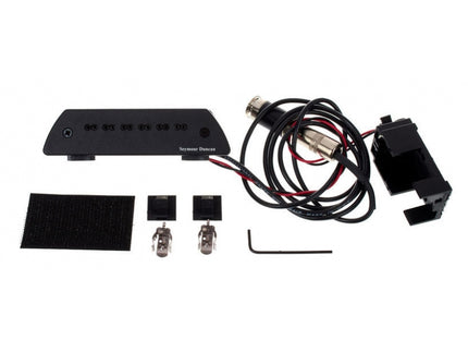 SA-6 Mag Mic System