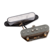 Antq  SET for `55 Telecaster