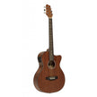 SA25ACEMAHO E.A.Gt.Cutway Audit.Sapel Nat
