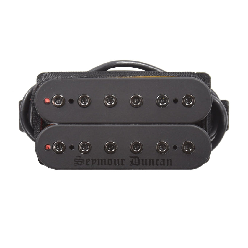 Black Winter, Blackened  6-String Neck