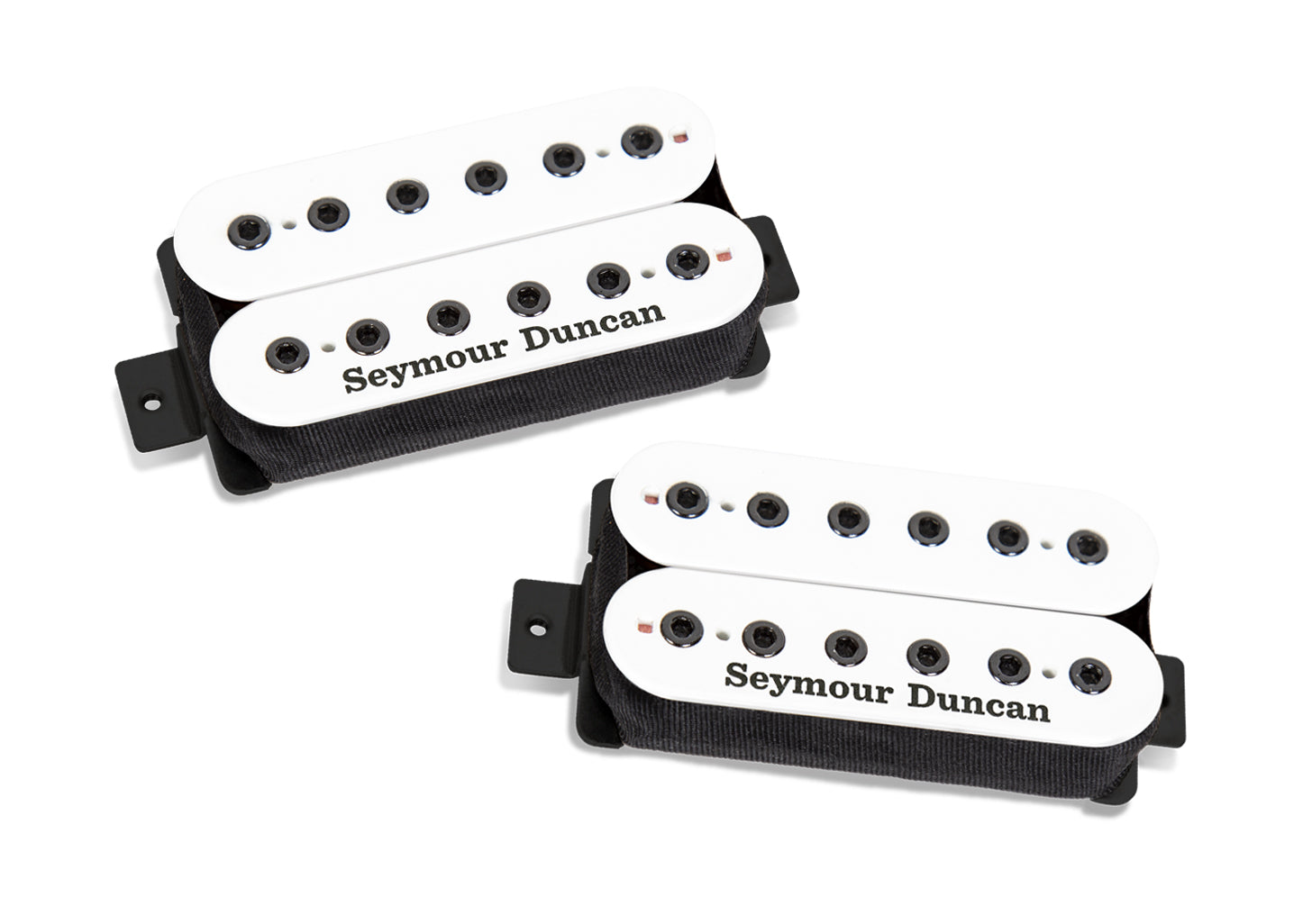 Holcomb SET SS Wht