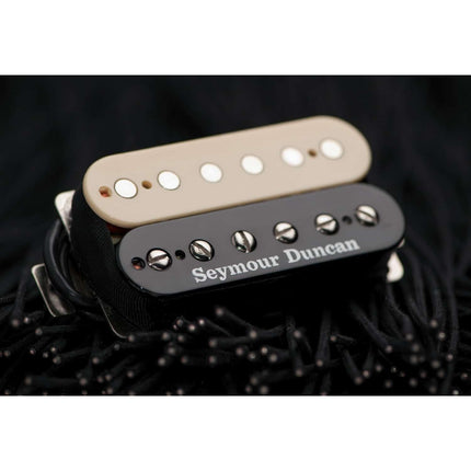 Exciter Bridge Rev Zebra