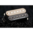 Exciter TB Rev Zebra