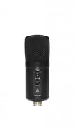 SUSM60D - USB Double Condencer Microphone