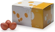 EGG-50ORM 50Pcs Egg Shaker,Orange,Mat