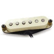 Antiquity for Strat Texas Hot Neck
