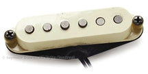 Antiquity for Strat Texas Hot Neck