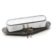 Antiquity for Telecaster Neck