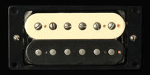 Antiquity  Jazz Model Neck Zebra