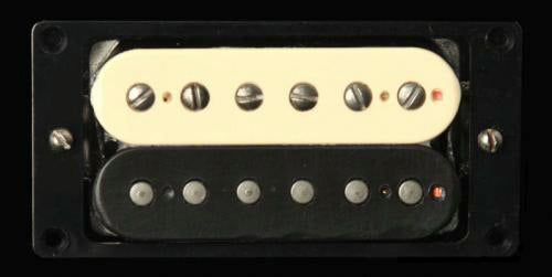 Antiquity  Jazz Model Neck Zebra