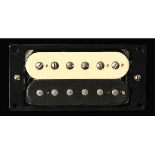 Antiquity  Jazz Model Neck Zebra