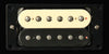 Antiquity  Jazz Model Neck Zebra