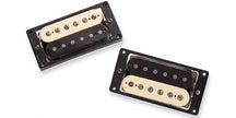 Antq JB/Jazz SET Zebra