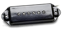 Antiquity P90 Dog Ear Brdg Blk