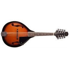 M20 MANDOLIN-LINDEN TOP-VIOLINBURS