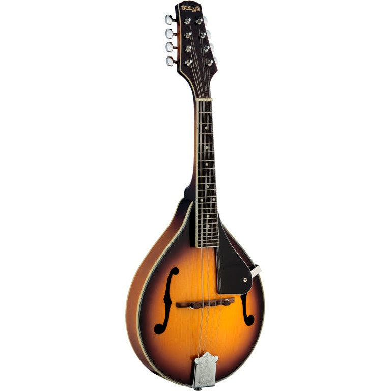 M40S Mandolin-Sd.Spruce-Goldburst