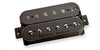 Pegasus 6-string  Bridge Blk