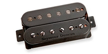 Pegasus 6-String Trembucker Blk