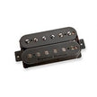 Sentient 6-string  Neck Blk