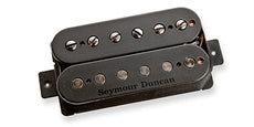 Sentient 6-string  Neck Blk