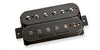 Sentient 6-string  Neck Blk