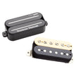 SET DIMEBAG  Zebra