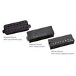 SH-6  8str Distortion, Nk, Amt, Soapbar