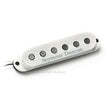 SSL-5 Custom Stag Strat Cal Set