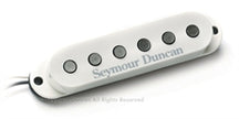 SSL-5 Custom Stag Strat Cal Set