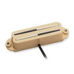 SVR-1b Vntg Rails for Strat Crm