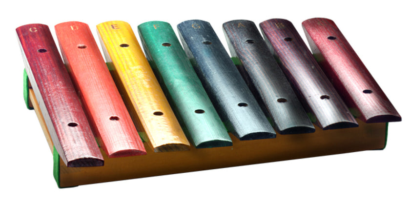 XYLO-J8RB XYLOPHONE 8 KEYS/Rainbow Colors
