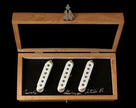 ZSL-1 Zephry Strat Silver set White