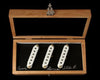 ZSL-1 Zephry Strat Silver set White