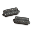 SET Nazgul\Sentient 7-string Blk b & n