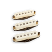 SET Antiquity for Strat Texas Hot b&n