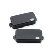 SET Dino Cazares 7 strg passive mount b&n