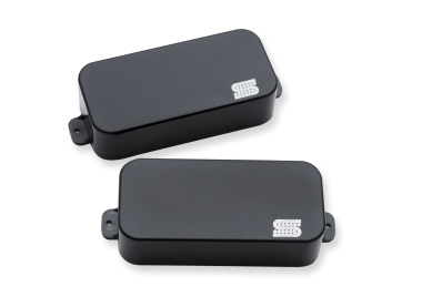 SET Dino Cazares 7 strg passive mount b&n