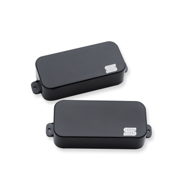 SET Dino Cazares 7 strg passive mount b&n