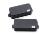 SET Dino Cazares 7 strg passive mount b&n