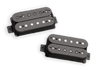 SET Nazgul\Sentient 6-String Blk b & n