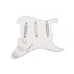 Pickguard  Dave Murray Loaded  White