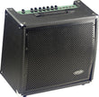 Stagg 60GA Gitarrcombo 60 watt med fjäderreverb
